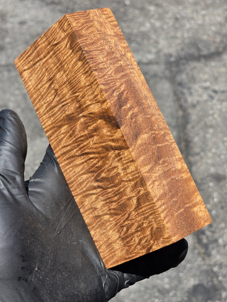 Stabilized Curly Golden Acacia 28 (2.55 x 1.5 x 5.85)