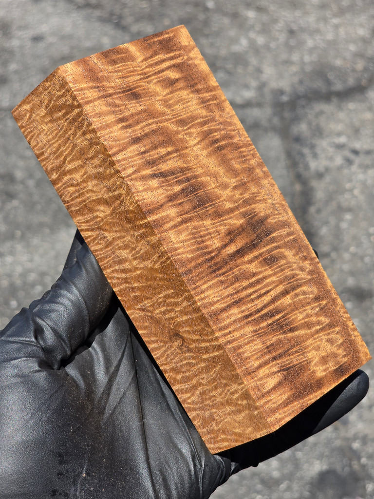 Stabilized Curly Golden Acacia 28 (2.55 x 1.5 x 5.85)