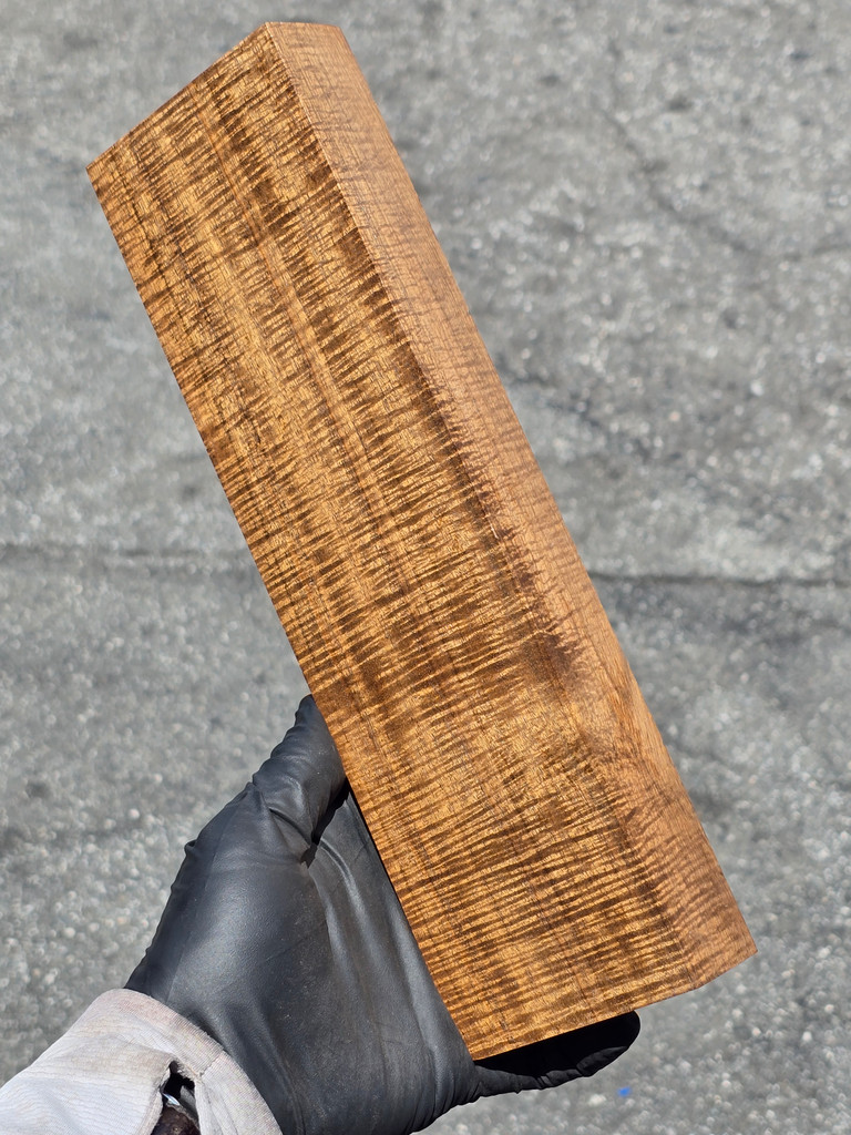 Stabilized Curly Golden Acacia 31 (3.45 x 1.3 x 11.5)