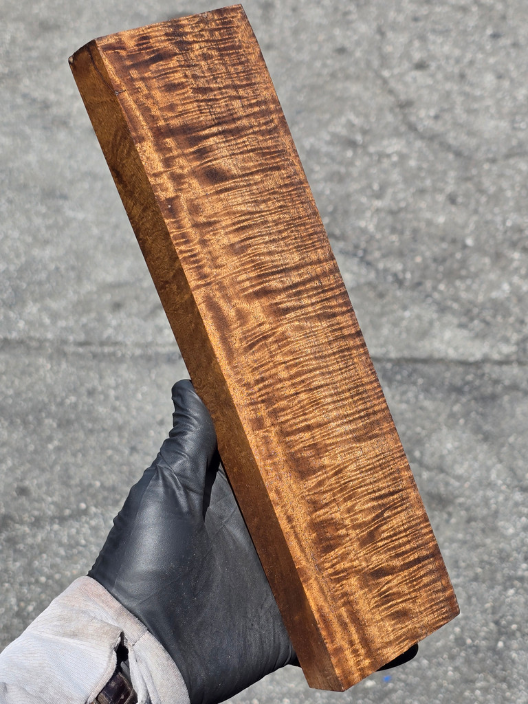 Stabilized Curly Golden Acacia 32 (3.1 x 1.05 x 12)