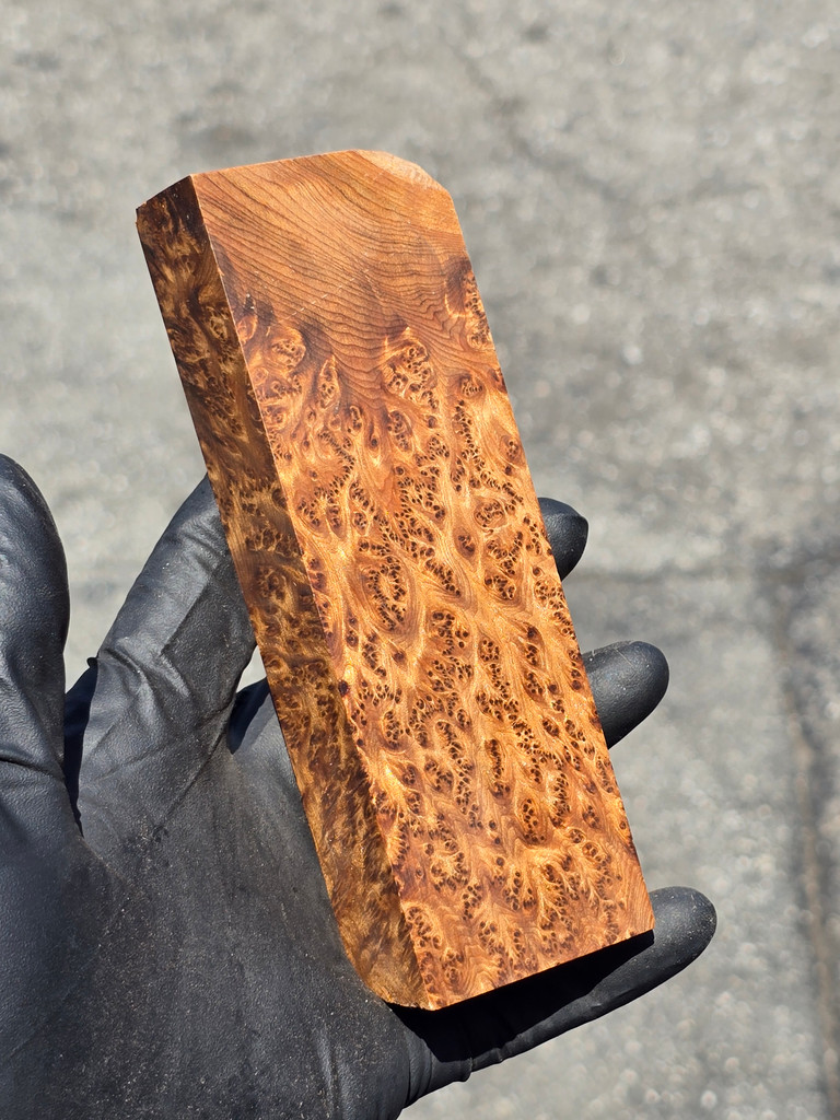 Stabilized Sugi Cedar Burl 1 (1.85 x 1.17 x 5.75)