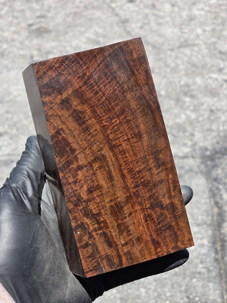 Curly Siam Rosewood 30 (3.2 x 1.9 x 6)