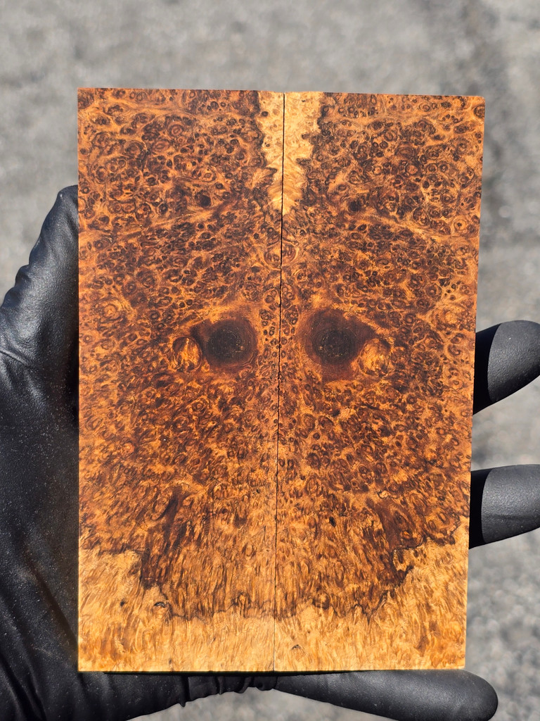 Stabilized Amboyna Burl Scales 73 (1.9 x .4 x 5.8)x2
