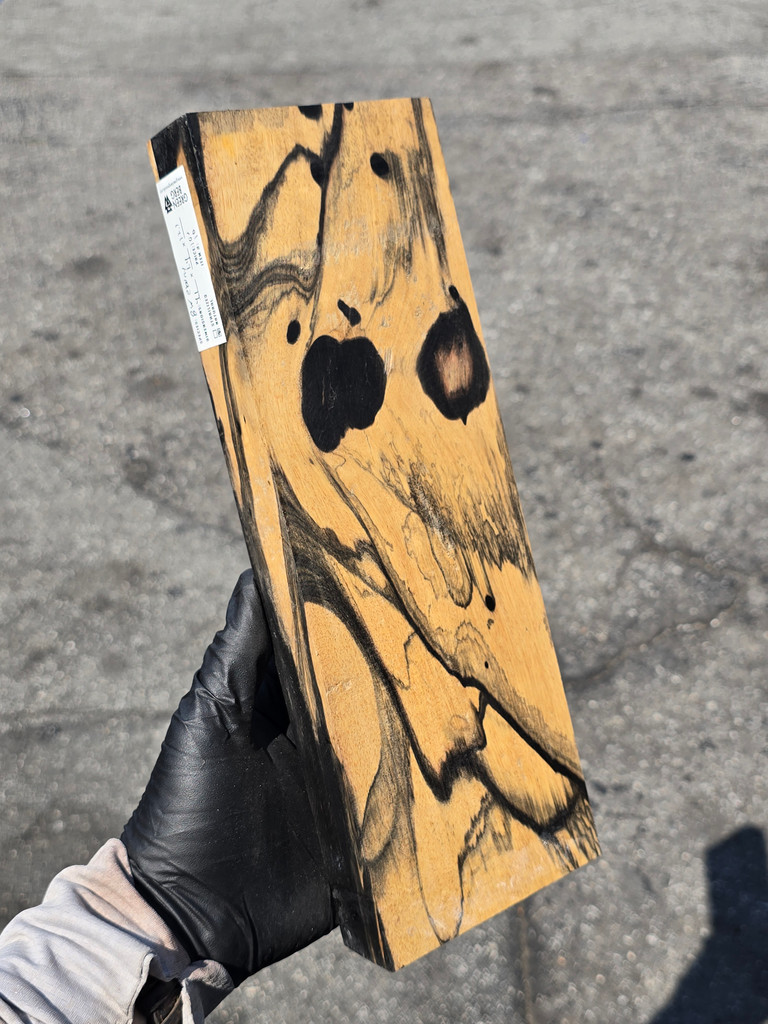 Black And White Ebony 10 (4.1 x 1.4 x 12.1)