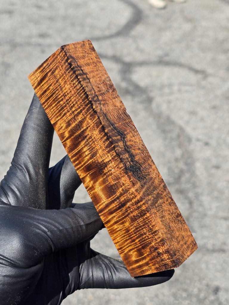 Stabilized Curly Golden Acacia 47 (1.7 x 1 x 6)