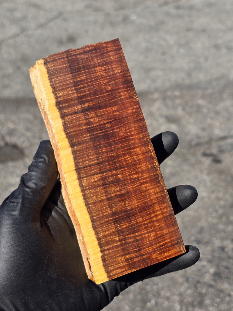 Ringed Gidgee 4 (2.6 x 1.35 x 6.2)