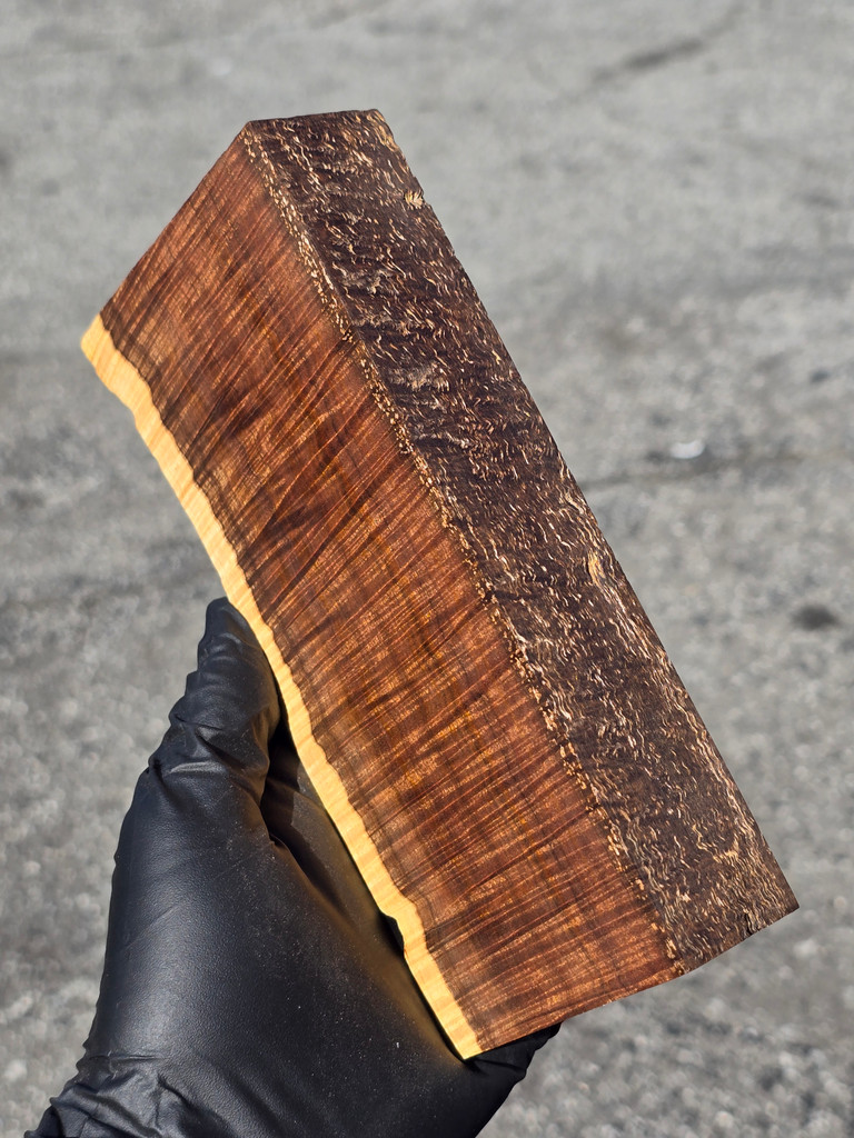 Ringed Gidgee 14 (4 - 3.4 x 1.35 x 7.25)