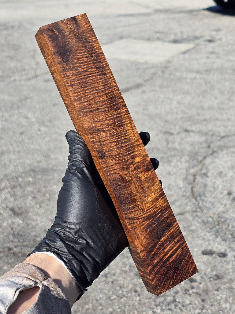 Stabilized Curly Golden Acacia 61 (2 x 1.3 x 11.8)