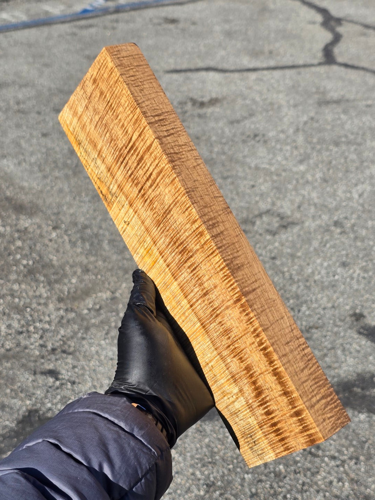 BEST Stabilized Curly Golden Acacia 89 (4 x 1.35 x 13.5)