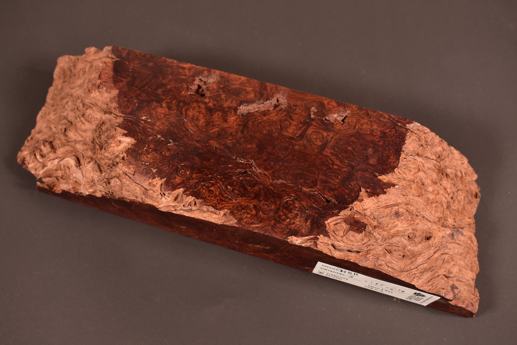 Honduras Rosewood Burl 2 (3 x 1.85 x 6-10)