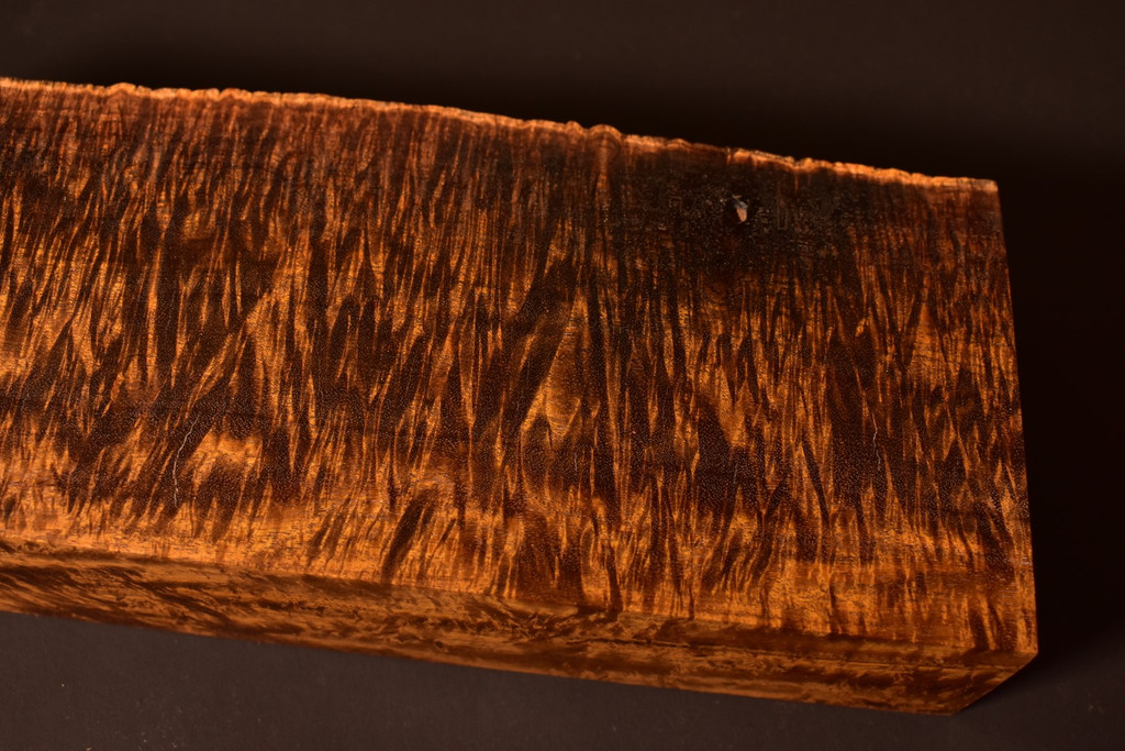 BEST Stabilized Curly Golden Acacia 103 (3.5 - 4.25 x 2.45 x 10.7)