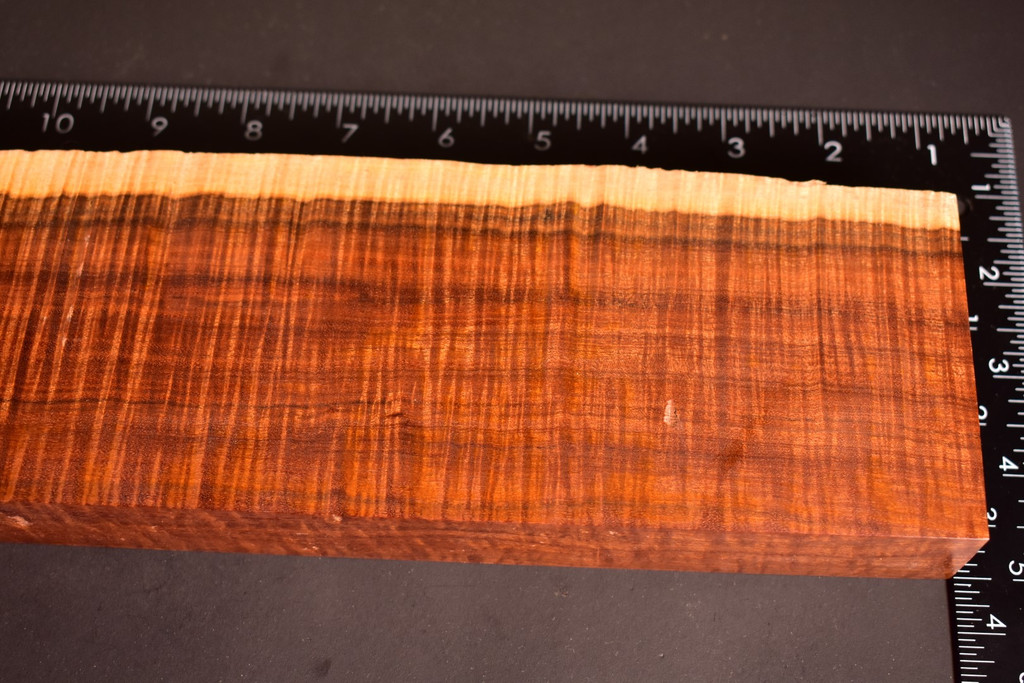 Ringed Gidgee 27 (3.5 x 1.3 x 11.25)