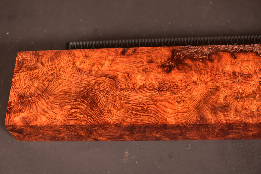 Honduras Rosewood Burl 12 (2.9 - 3.2 x 1.85 x 12.5)