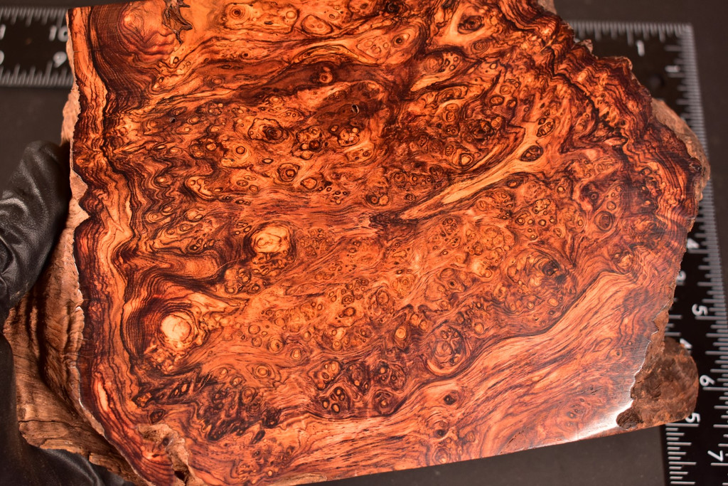 Honduras Rosewood Burl 22 (5.4 x 1.3 x 6.5 - 8.5)
