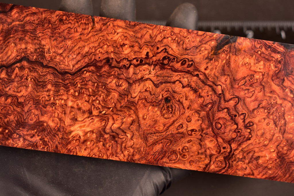 BEST Cocobolo Burl 14 (2.9 x 1.17 x 6-9)