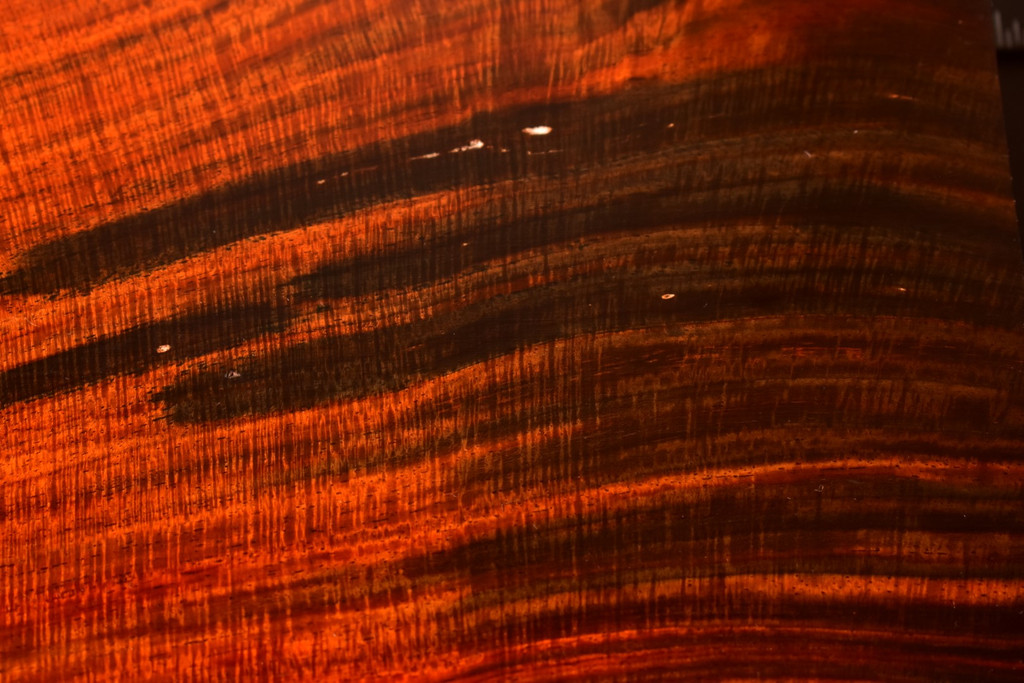 Curly Siam Rosewood 41 (4.8 x 1.4 x 7)