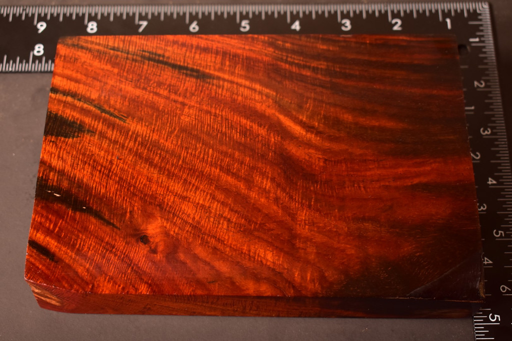 Curly Siam Rosewood 41 (4.8 x 1.4 x 7)