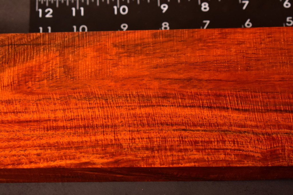 BEST Curly Siam Rosewood 51 (3.2 x 1.15 x 11)