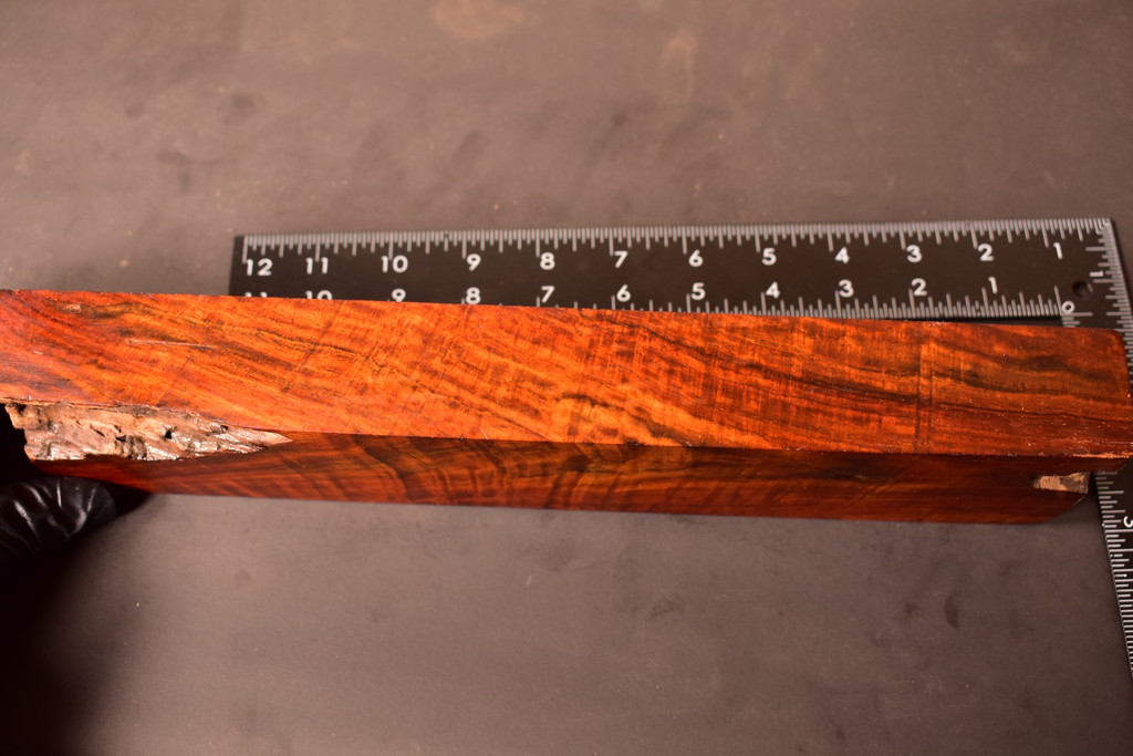Curly Siam Rosewood 53 (2.8 x 1.4 x 12.8)