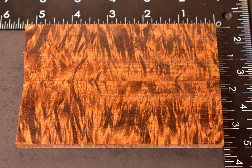 Stabilized Curly Golden Acacia Scales 9B (1.75 x .36 x 5.3)x2