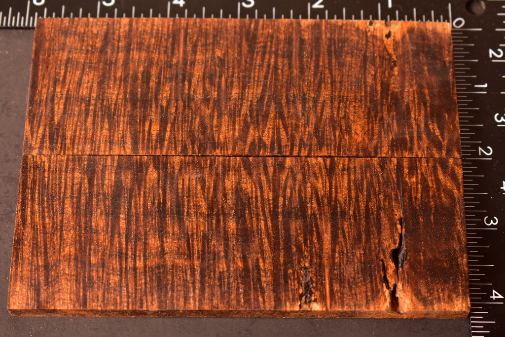 Stabilized Curly Golden Acacia Scales 15B (2.1 x .36 x 5.9)x2