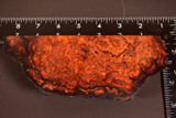 Cocobolo Burl 30 (2.3 - 2.75 x 1 x 5.5 - 7)