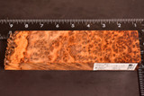 Stabilized Fragrant Sugi Cedar Burl 26 (2 x 1.15 x 7.5)