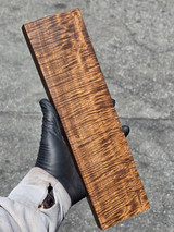 Stabilized Curly Golden Acacia 32 (3.1 x 1.05 x 12)