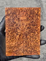 Stabilized Amboyna Burl Scales 83 (1.9 x .4 x 5.8)x2