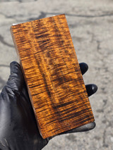 Stabilized Curly Golden Acacia 80 (2.8 x 1.5 x 6)