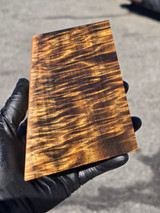 Stabilized Curly Golden Acacia 82 (2.8 - 4.3 x 1.75 x 5)