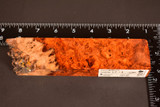 Stabilized Red Amboyna Burl 20 (1.7 x 1 x 6.375)
