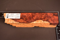 Honduras Rosewood Burl 67 (2.1 x 1.75 x 7-8.5)