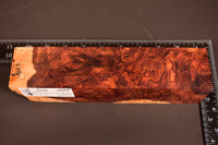 Honduras Rosewood Burl 67 (2.1 x 1.75 x 7-8.5)
