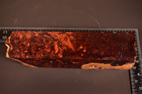 BEST Honduras Rosewood Burl 73 (2 x 2 x 8)