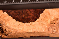 Honduras Rosewood Burl 78 (2.5 x 1.8 x 12-7)