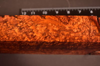 Cocobolo Burl 19 (3.3 x 1.7 x 10.75)