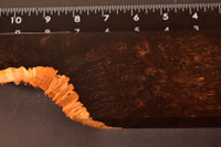 African Blackwood Burl 25 (2.9 x 1 x 9.75 - 6.7)