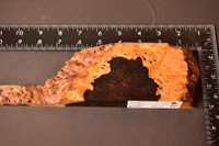 African Blackwood Burl 26 (2.9 x 1 x 5-9)