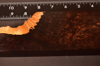 African Blackwood Burl 27 (2.9 x 1.2 x 7 - 9.75)