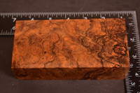 Stabilized Circassian Walnut Burl 3 (2.57 x 1.7 x 5.4)