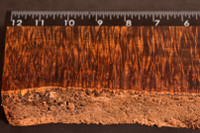 BEST Stabilized Curly Golden Acacia 18 (3 - 2.25 x 1.5 x 10.65)