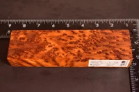 Stabilized Fragrant Sugi Cedar Burl 4 (2 x 1.2 x 7.25)