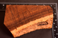 BEST Ringed Gidgee 32 (4 - 2.4 x 1.7 x 6)