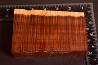 Ringed Gidgee 35 (3.1 x 1.35 x 5.25)