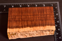 Ringed Gidgee 35 (3.1 x 1.35 x 5.25)