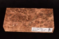 Stabilized Circassian Walnur Burl 6 (2.75 x 1.3 x 5.9)