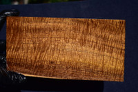 Stabilized Curly Golden Acacia 4A (3 1/2 - 3 x 1 1/4 x 8 1/2)