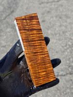 Stabilized Curly Golden Acacia 8B (1.7 x 1 x 5.3)