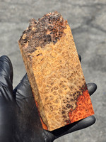 Stabilized Red Amboyna Burl 1F (2.7 x 1.3 x 6 - 4.3)